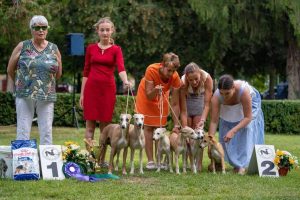 Sighthound Speciality and Club Show in Mojmirovce 8.8.2020 and 9.8.2020