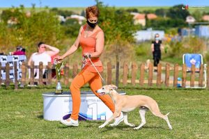 Alijamo's Gagarin Puppy Champion