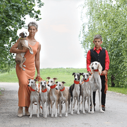 Alijamos whippet kennel