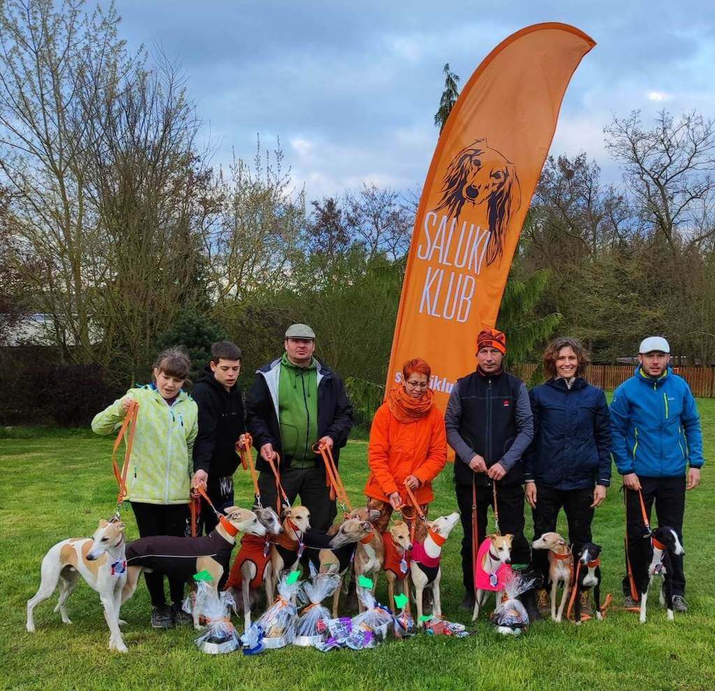 Gold Rabbit Trophy Coursing